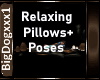 [BD]RelaxingPillows+Pose