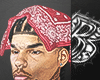 ASTRAL BRAIDS + BANDANA