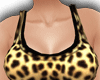 :Cheetah:  Wild T
