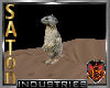 (SaT)Desert Marmot