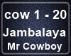 Mr Cowboy - Jambalaya