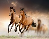 Circular  photo / horses