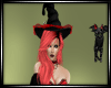 Dp Witches  Bundle 2