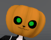 Pumkat Head