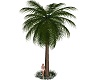 Animated Windy Palm Tree