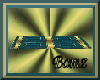 [BAMZ] TEAL GOLD RUG