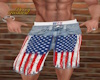 USA Jean shorts
