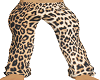 m pants leopard
