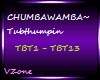 CHUMBAWAMBA-Tubthumpin