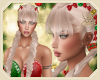[ang]Christmas Braid C