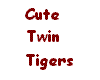 Twin Baby Tigers
