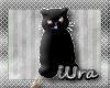 ~iUra~Yourichi Cat (RS)