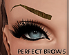 Perfect Eyebrows} Choc