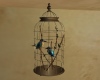 Small n Simple Bird Cage