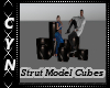 Strut Model Cubes