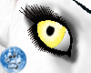 [S]Pltel Yellow Eye {F}