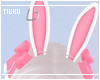 T! Bunny Ears - Pink