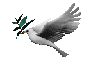 [HF]Peace Dove