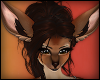 G|Deer Hair 17