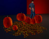 (SS)Pumpkin Patch