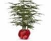 Oriental Potted Tree Red