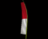 Indo celebration flag