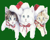 T76~Christmas Kitties