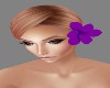 !R! Purple Hair Flower L