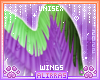 🌸; Pocus Wings