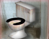 Toilet  RUINS DJ55