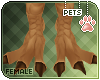 [Pets] Izu | feet