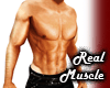 Real Muscle -Torso-