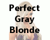 Perfect Gray Blonde