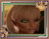 *Addon Bang Gabbi