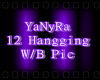 IYI12 Hangging W/B Pic