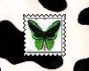 Green Butterfly 2