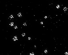 Space BG 13