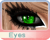 (OvO) Bear Green Eyes