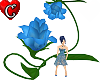 Flower - Rose blue