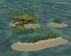 SECLUDED ISLAND