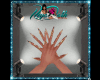 *D* Nails with Rings