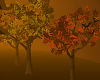 Autumn Colors Trees