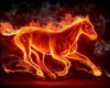  horse flaming