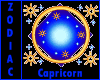 `Zodiac CapricornSticker