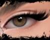 I. THE BLACK LASH