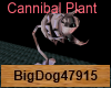 [BD] Cannibal Plant