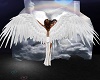 Angellic Goddess Wings