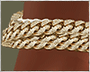Micro Anklet L