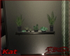 *Kat* Shelf plant