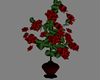 Animated Roses In Vase
